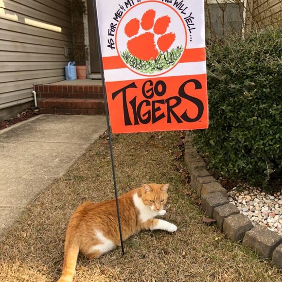 Meet your Posher, Tricia - Picture 1 of 1